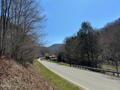 28.9 Acres in Roan Mountain, Tennesseee - image 6