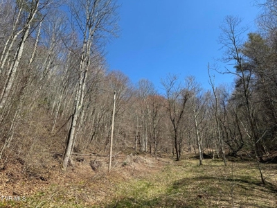 28.9 Acres in Roan Mountain, Tennesseee - image 41