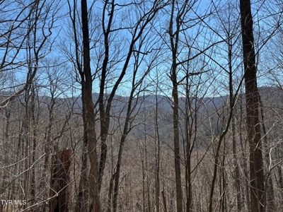 28.9 Acres in Roan Mountain, Tennesseee - image 11