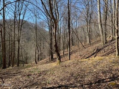 28.9 Acres in Roan Mountain, Tennesseee - image 34