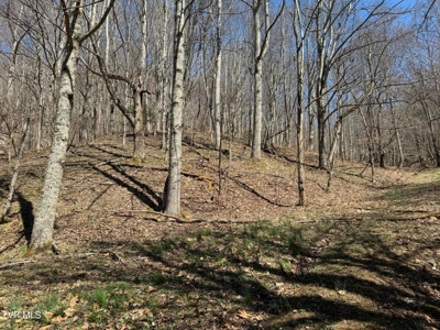 28.9 Acres in Roan Mountain, Tennesseee - image 37