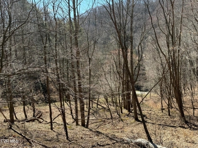 28.9 Acres in Roan Mountain, Tennesseee - image 2