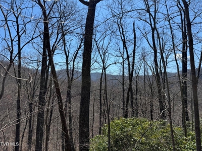 28.9 Acres in Roan Mountain, Tennesseee - image 22