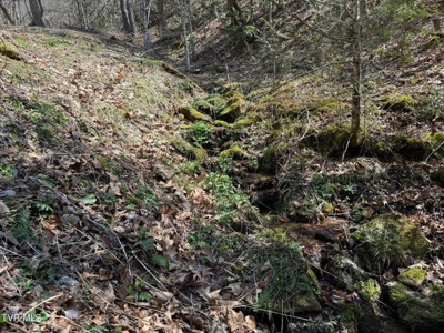 28.9 Acres in Roan Mountain, Tennesseee - image 43