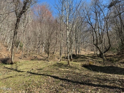 28.9 Acres in Roan Mountain, Tennesseee - image 42