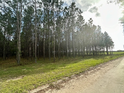 Vacant Land - Gilchrist County 6 Acres New Home Site - image 3