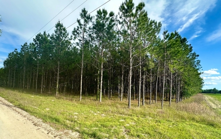 Vacant Land - Gilchrist County 6 Acres New Home Site - image 1