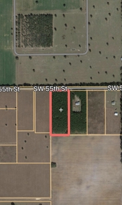 Vacant Land - Gilchrist County 6 Acres New Home Site - image 4