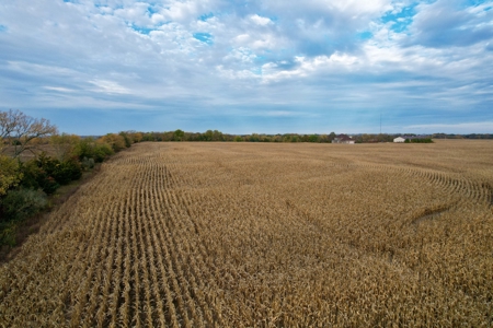 Ray County MO Farmland For Sale - image 12