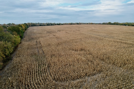 Ray County MO Farmland For Sale - image 9