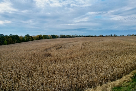 Ray County MO Farmland For Sale - image 17