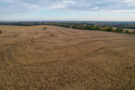Ray County MO Farmland For Sale - image 5