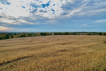 Ray County MO Farmland For Sale - image 7