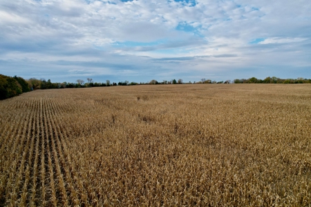 Ray County MO Farmland For Sale - image 10