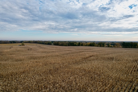 Ray County MO Farmland For Sale - image 6