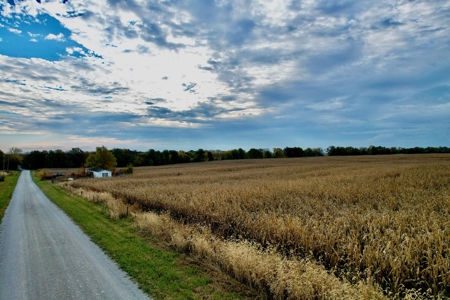 Ray County MO Farmland For Sale - image 15