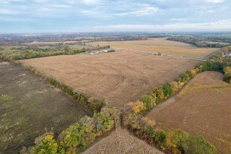 Ray County MO Farmland For Sale - image 3