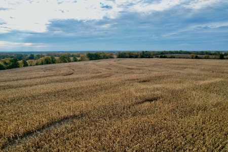Ray County MO Farmland For Sale - image 14