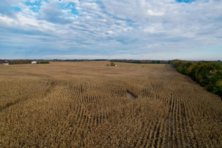 Ray County MO Farmland For Sale - image 11