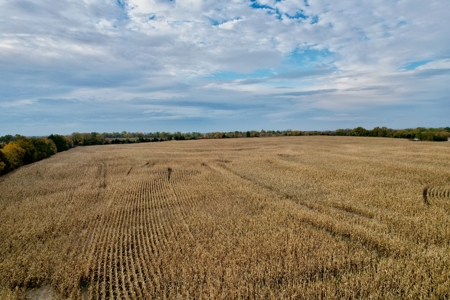 Ray County MO Farmland For Sale - image 8