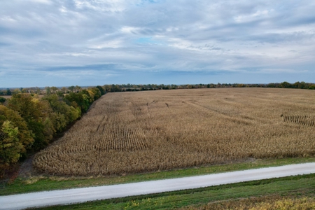 Ray County MO Farmland For Sale - image 18