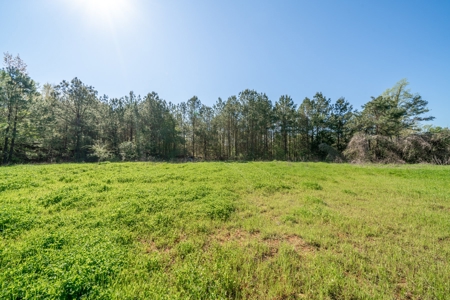 House for sale with Land New Diana ISD Texas - image 37