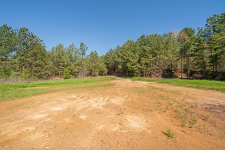 House for sale with Land New Diana ISD Texas - image 39