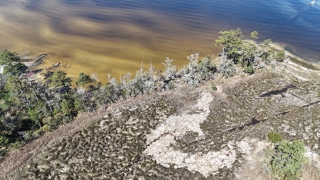 Waterfront Lot for Sale, Beaufort NC - image 6