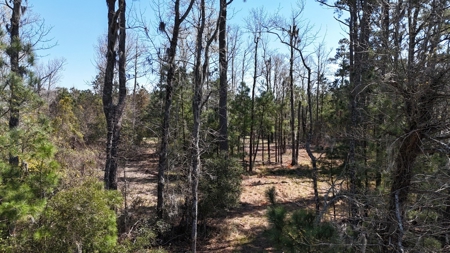 Waterfront Lot for Sale, Beaufort NC - image 25