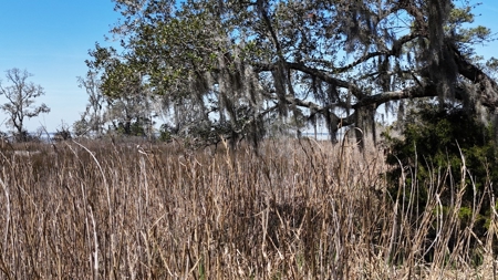 Waterfront Lot for Sale, Beaufort NC - image 27