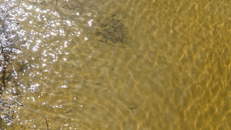 Waterfront Lot for Sale, Beaufort NC - image 13