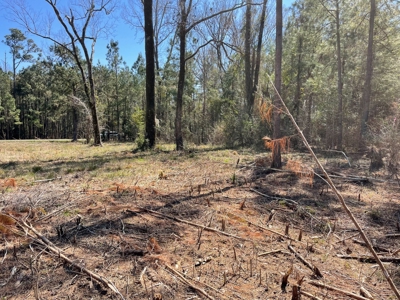 Waterfront Lot for Sale, Beaufort NC - image 37