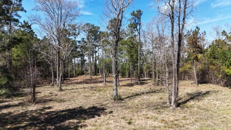 Waterfront Lot for Sale, Beaufort NC - image 1