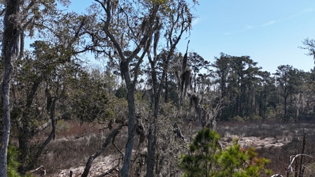 Waterfront Lot for Sale, Beaufort NC - image 12