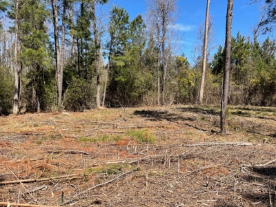 Waterfront Lot for Sale, Beaufort NC - image 36