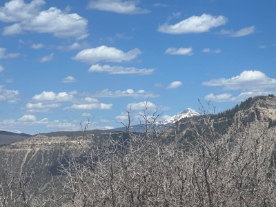Hunting Land near Dolores Colorado For Sale - image 12