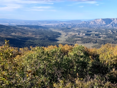Hunting Land near Dolores Colorado For Sale - image 8