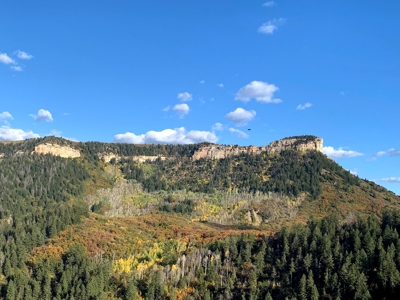Hunting Land near Dolores Colorado For Sale - image 10