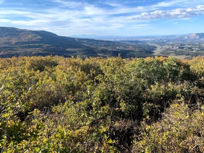 Hunting Land near Dolores Colorado For Sale - image 6