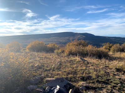 Hunting Land near Dolores Colorado For Sale - image 1