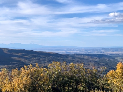 Hunting Land near Dolores Colorado For Sale - image 4