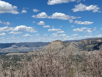 Hunting Land near Dolores Colorado For Sale - image 13