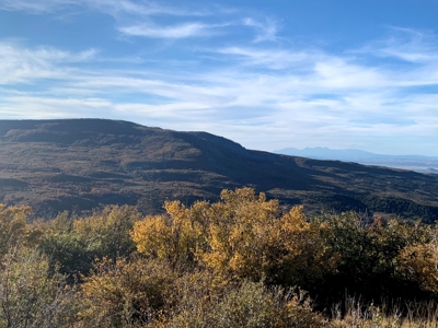 Hunting Land near Dolores Colorado For Sale - image 2