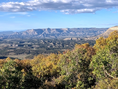 Hunting Land near Dolores Colorado For Sale - image 9