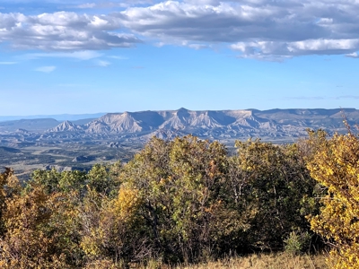 Hunting Land near Dolores Colorado For Sale - image 5