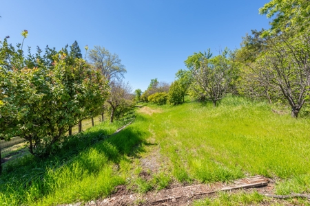 Winters, California Country Homes on Small Acreage for Sale - image 7