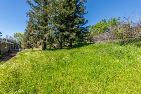 Winters, California Country Homes on Small Acreage for Sale - image 40