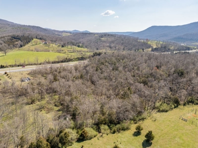 Land for Sale in Pembroke, VA - image 9