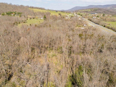 Land for Sale in Pembroke, VA - image 7