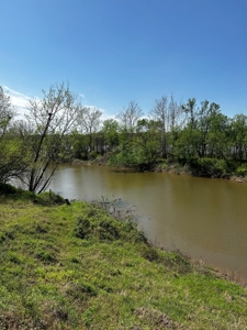 28 Acres of Prime Hunting Land For Sale on Arkansas River - image 17